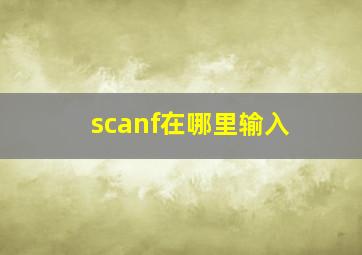 scanf在哪里输入