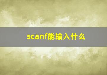 scanf能输入什么