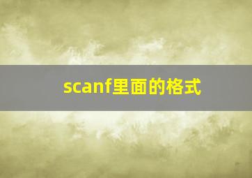 scanf里面的格式