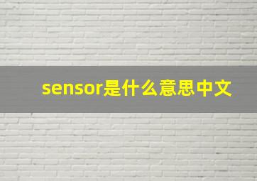 sensor是什么意思中文