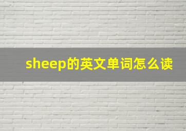 sheep的英文单词怎么读