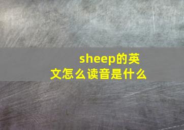 sheep的英文怎么读音是什么