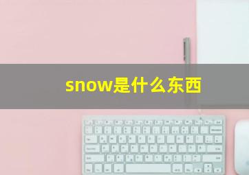 snow是什么东西