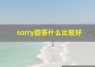 sorry回答什么比较好