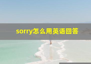 sorry怎么用英语回答