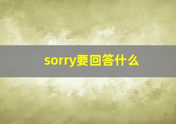 sorry要回答什么