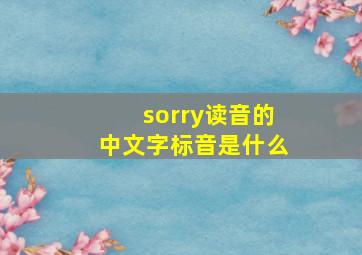 sorry读音的中文字标音是什么