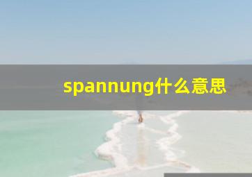 spannung什么意思