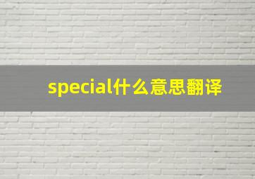 special什么意思翻译