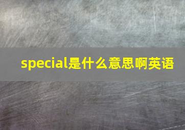 special是什么意思啊英语