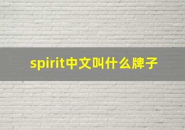 spirit中文叫什么牌子