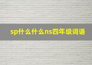 sp什么什么ns四年级词语