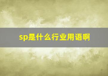 sp是什么行业用语啊