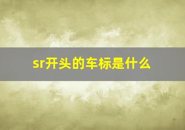 sr开头的车标是什么