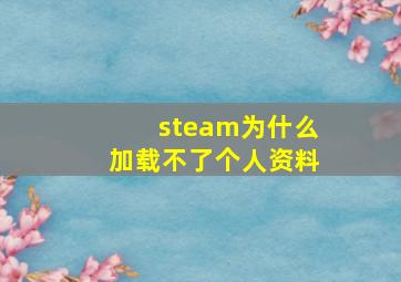 steam为什么加载不了个人资料