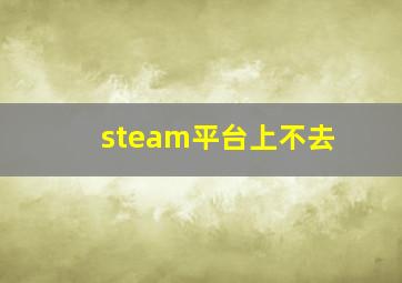 steam平台上不去