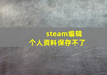 steam编辑个人资料保存不了