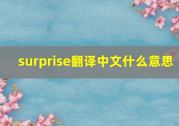 surprise翻译中文什么意思