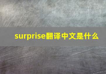 surprise翻译中文是什么