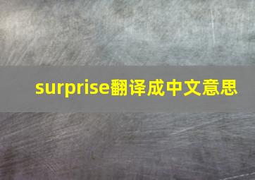 surprise翻译成中文意思