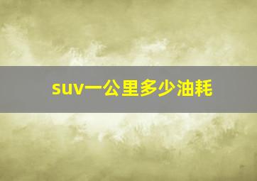 suv一公里多少油耗