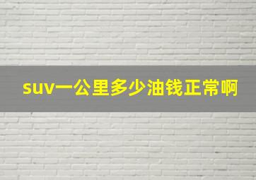 suv一公里多少油钱正常啊