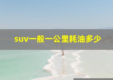 suv一般一公里耗油多少