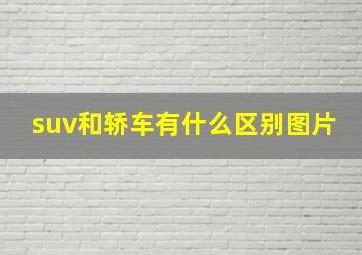 suv和轿车有什么区别图片