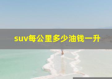 suv每公里多少油钱一升