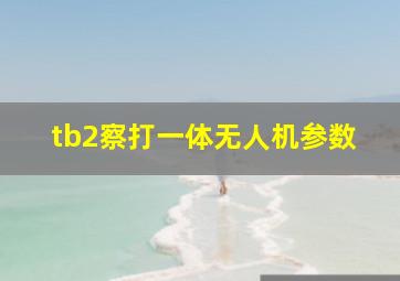 tb2察打一体无人机参数