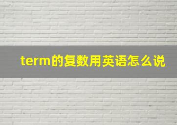 term的复数用英语怎么说