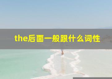 the后面一般跟什么词性