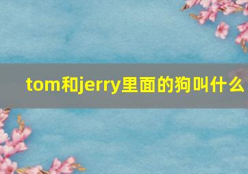 tom和jerry里面的狗叫什么