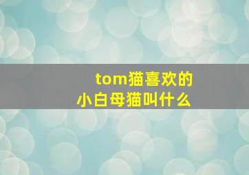 tom猫喜欢的小白母猫叫什么