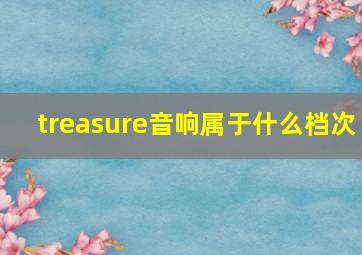 treasure音响属于什么档次