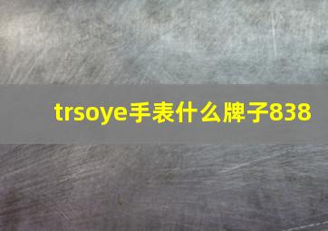 trsoye手表什么牌子838