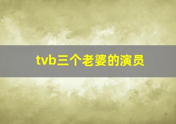 tvb三个老婆的演员