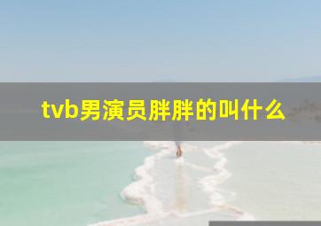 tvb男演员胖胖的叫什么