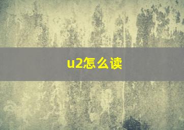 u2怎么读