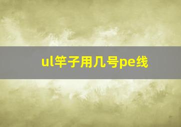 ul竿子用几号pe线