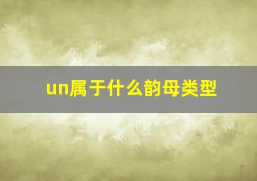 un属于什么韵母类型