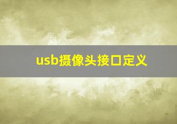 usb摄像头接口定义