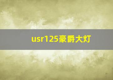 usr125豪爵大灯