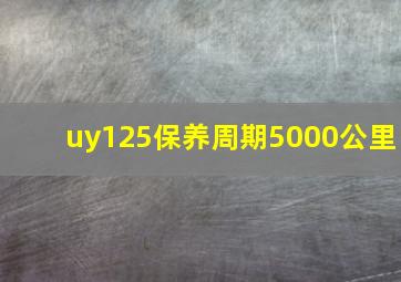 uy125保养周期5000公里