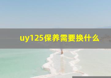 uy125保养需要换什么