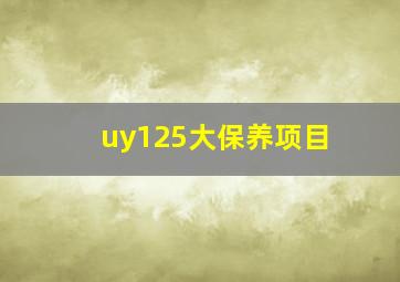 uy125大保养项目