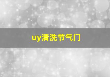 uy清洗节气门