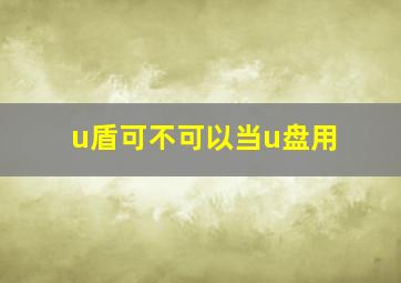 u盾可不可以当u盘用