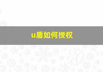 u盾如何授权