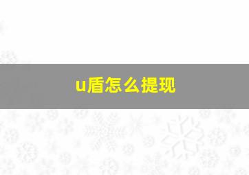 u盾怎么提现